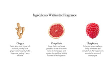 Load image into Gallery viewer, Lafco Reed diffuser penthouse champagne 15oz