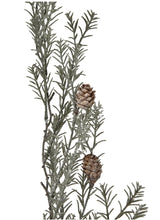 Load image into Gallery viewer, Faux Pine w/ Pinecones, Frost Finish, Green