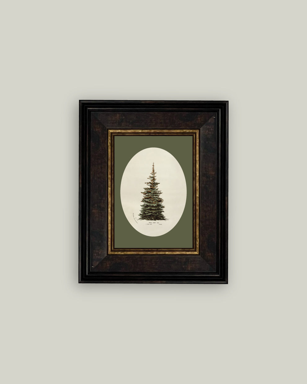 OVAL MATTE TREE